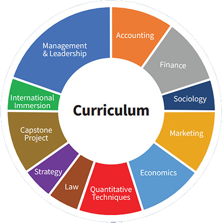 Curriculum